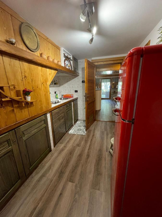 شقة Chalet I Folletti أبّادييا سان سالفاتور المظهر الخارجي الصورة